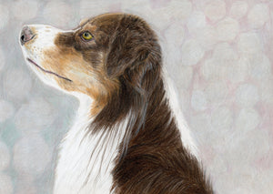 Furry dog